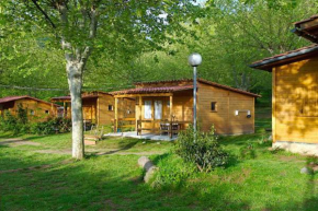 Camping La Vall d'Hostoles